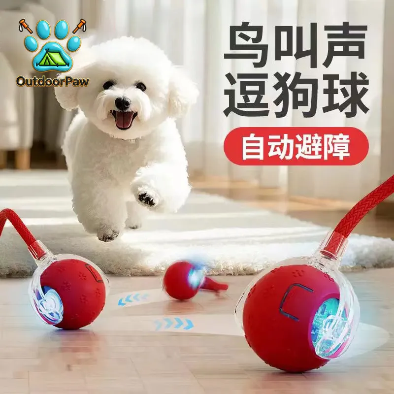 Japanese dog toy automatic walking ball pet self-hi teasing artifact than bear small and medium-sized bite-resistant chug ball