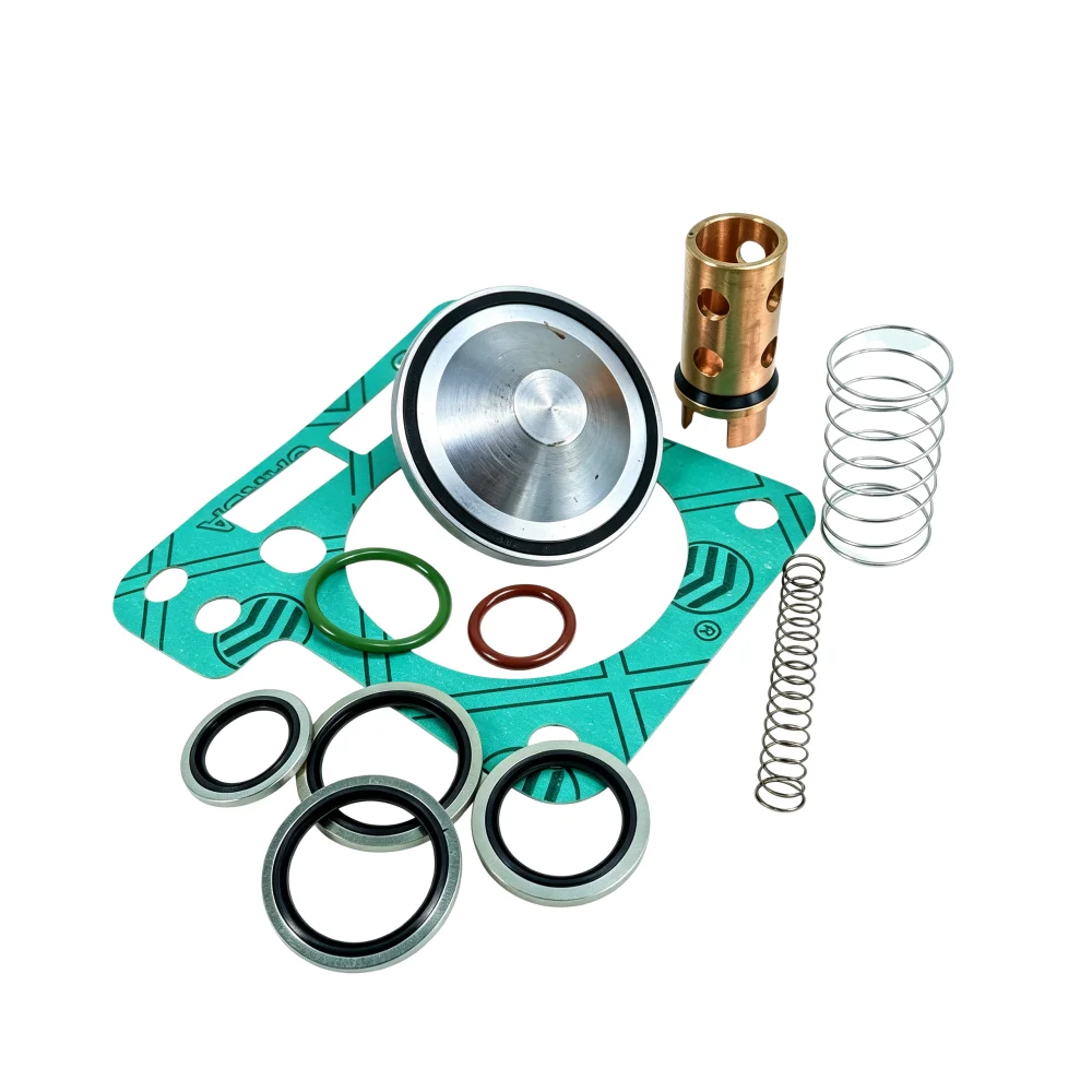 2901021702 2901021704 Oil Stop Check Valve Repair Kit Replacement For Screw Air Compressor Spare Parts