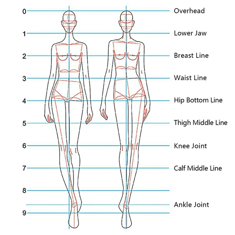 Fashion Illustration Ruler Sketch Template Sewing Ruler Humanoid Pattern Measuring Clothes