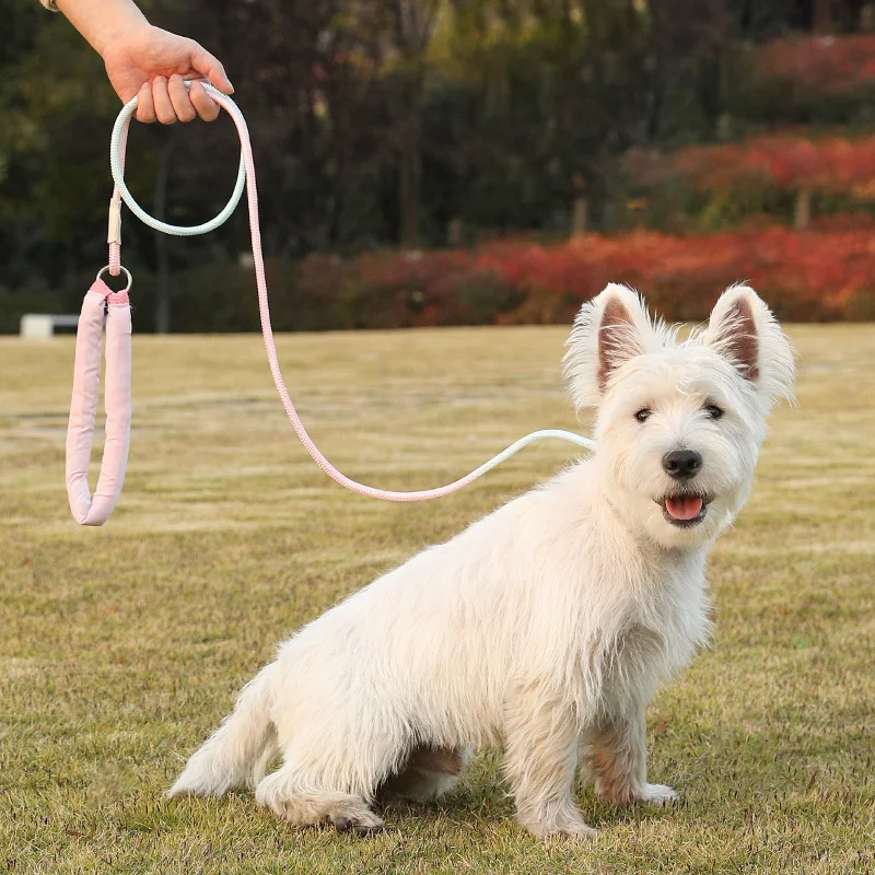 Macaron Series Pet P Chain Leash For Small Medium Dogs Leash 1.5M Durable Nylon Dog Lead Pet Traction Rope For Walking Pet Leash