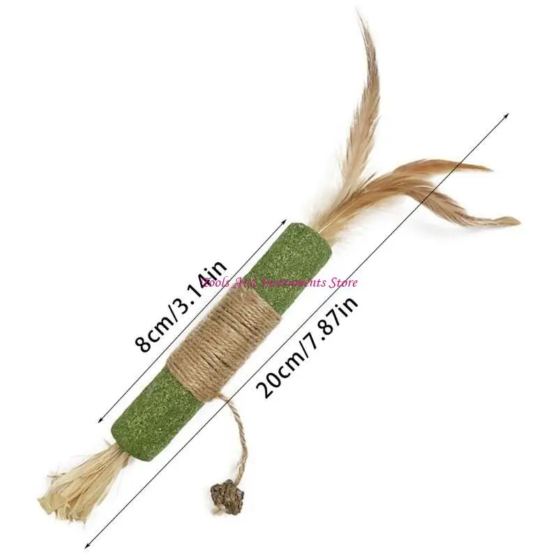 Mèo Catmint mọc răng Mèo Mèo Đồ chơi Răng sạch liếm liếm đồ chơi Mèo Mèo Mèo Catmint Đồ chơi C7AC