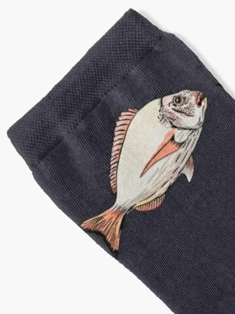 Sea bream | Sea bream Socks hip hop colored ankle Mens Socks Women's