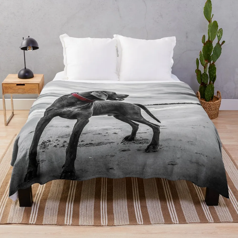 Weimaraner Throw Blanket Soft Bed Blankets manga Travel Blanket