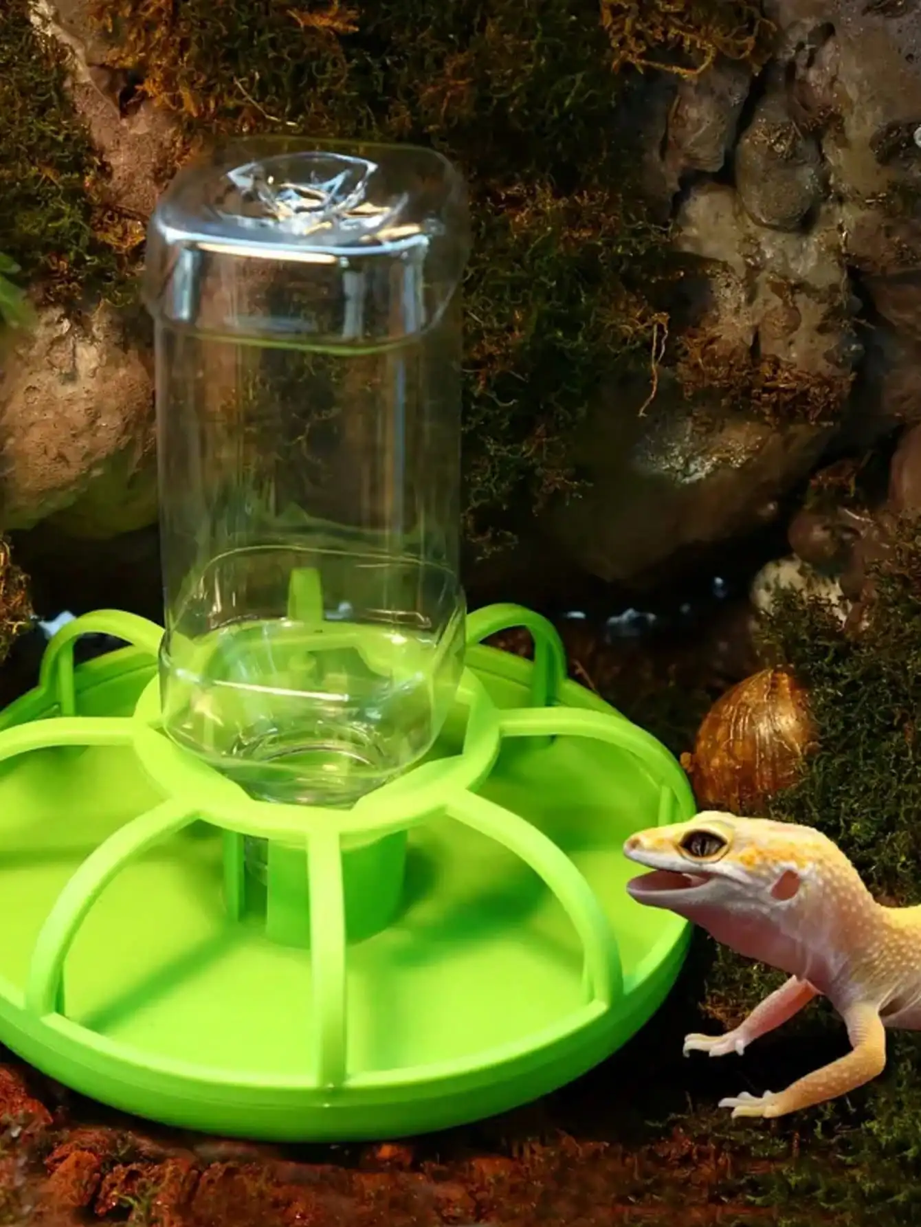 Automatic Water Dispenser 4