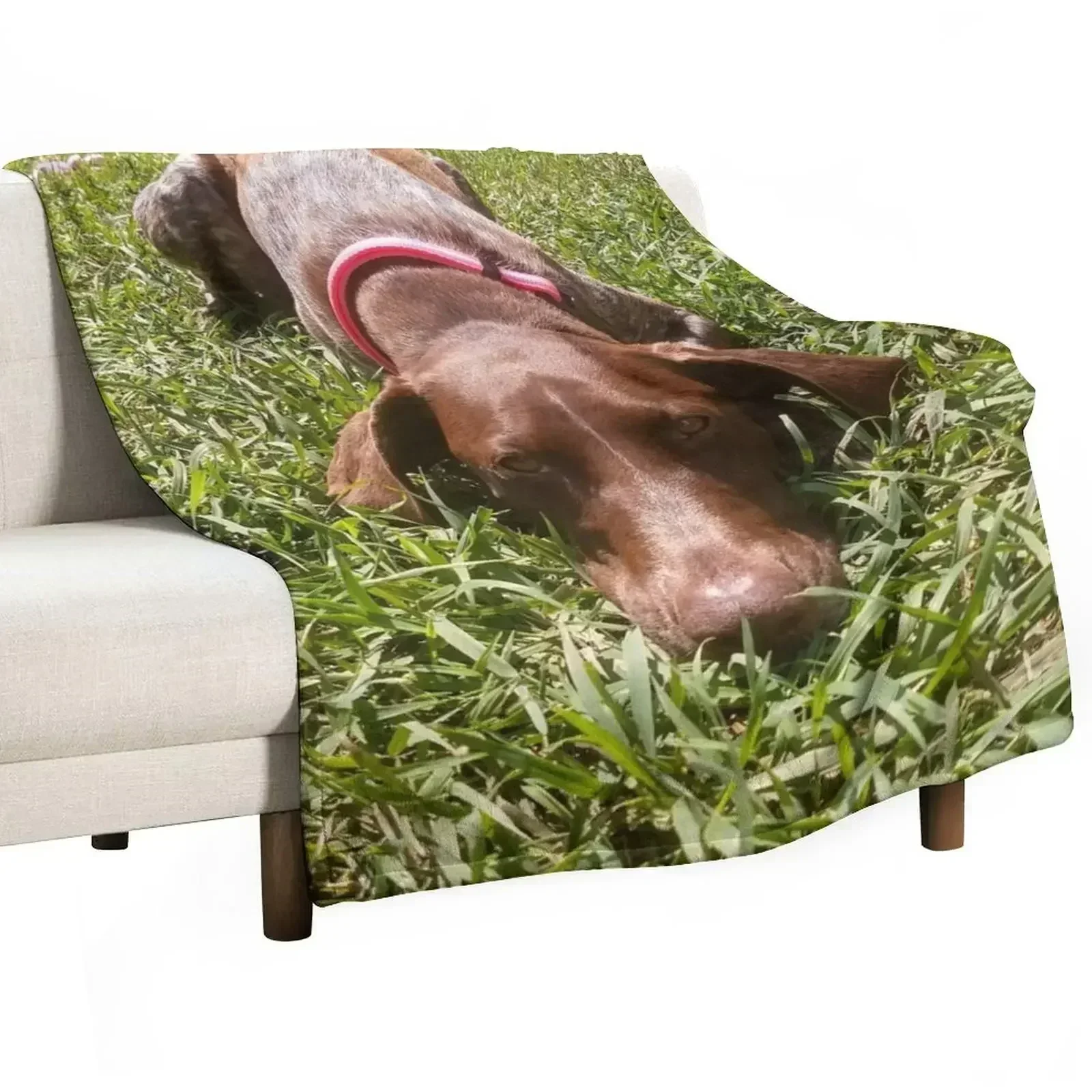 Nuevos días de verano con un compañero de mirada alerta: una manta con diseño de un perro de caza alemán de pelo corto, cálida y divertida, ideal como regalo.