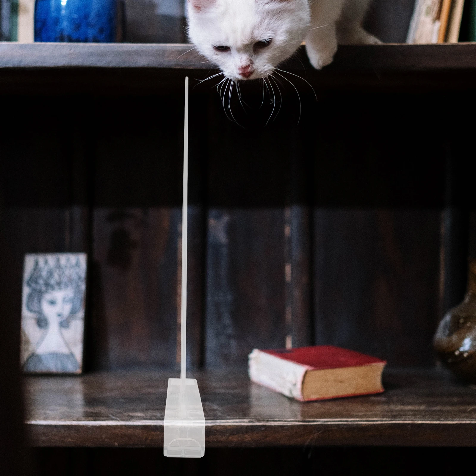 

2Pcs Shelf Divider Hooks Clear Closet Organizer Plastic Storage Solution Adjustable Position Easy Clean