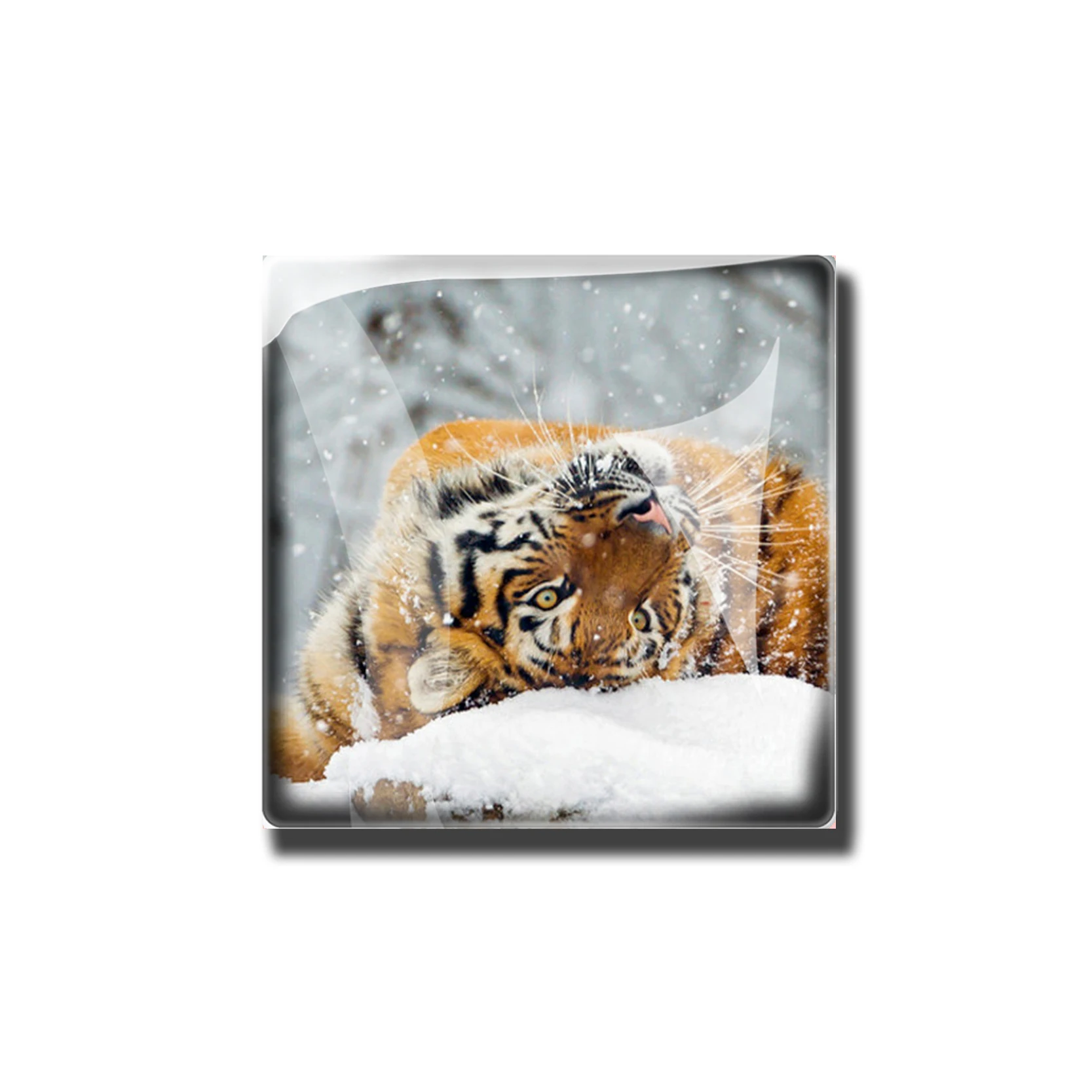 Tiger Series Square Glass Refrigerator Magnetic Stickers Home Accessories Majestic Powerful Brave Fearless Gifts for Men