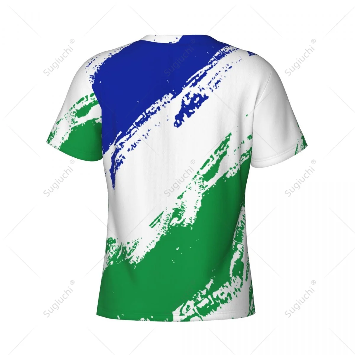 Custom Name Nunber Lesotho Flag Color Men Tight Sports T-shirt Women Tees jersey For Soccer Football Fans