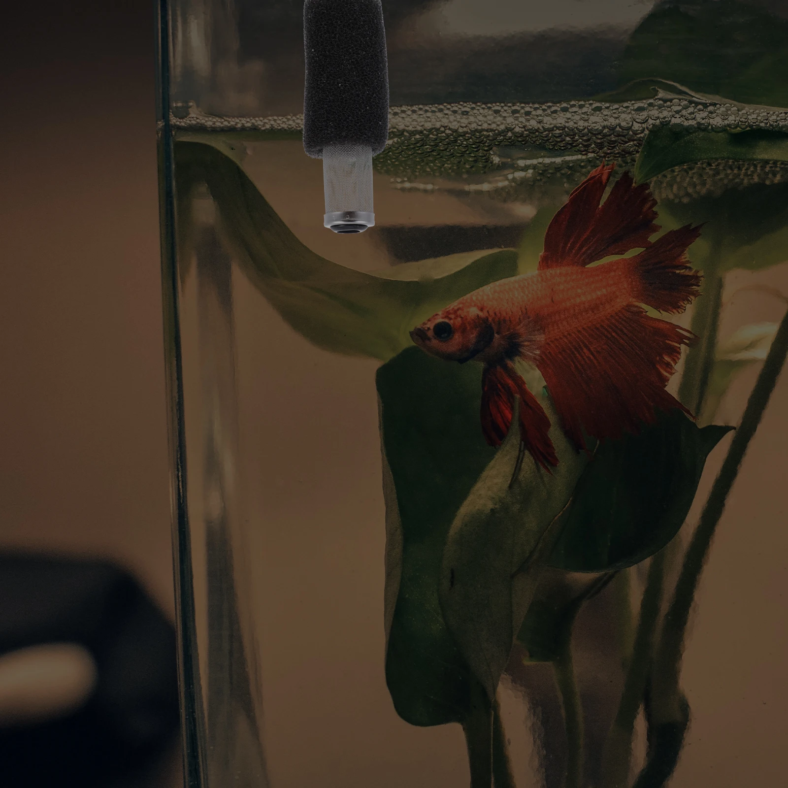 

2 set Aquarium Filter Mesh Cover Replacement For Fish Tank Intake Strainer Water Inlet Basket Guard Compatible With Most