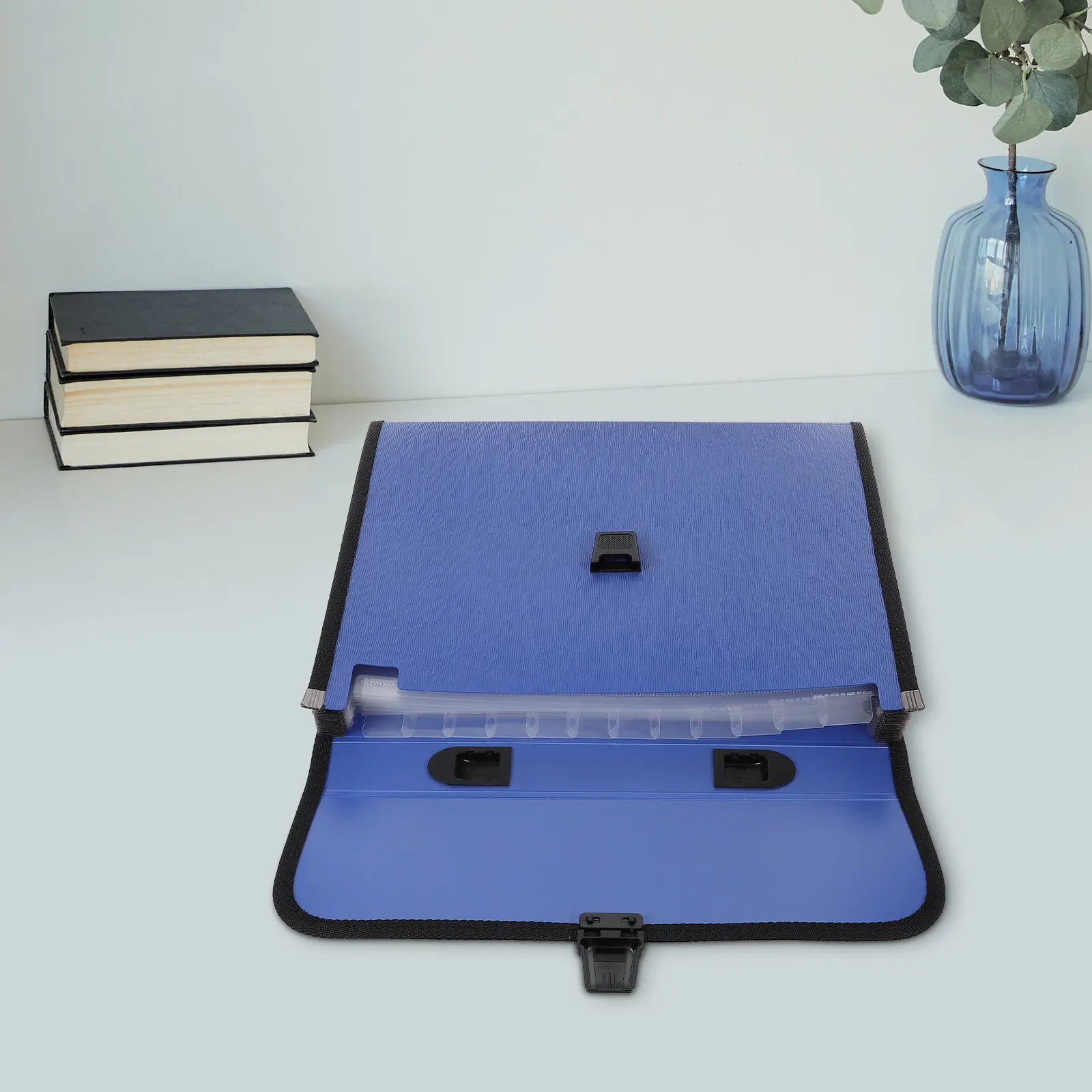 

Expanding File Folder Business Organizer Document Case A4 Paper Magazine 12 Pockets Buckle Handle Waterproof Portable Accordion