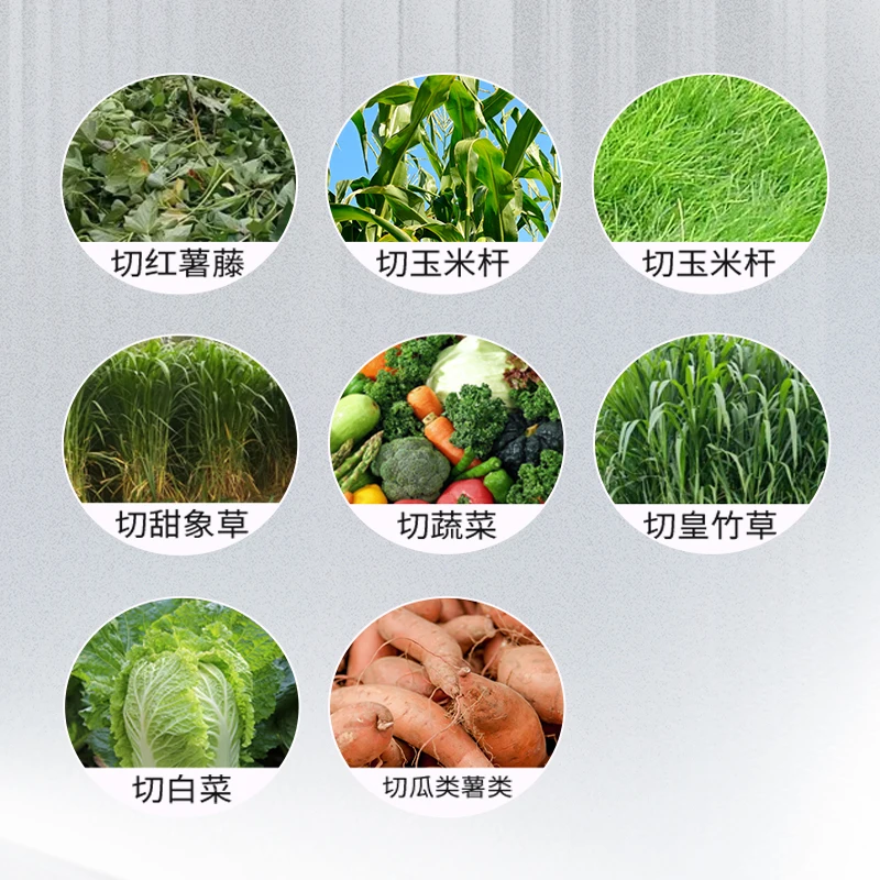 electrica reposteria Breeding Household Vegetable Crusher for Chicken Duck Feed Small Fruit Grass Cutter batidora