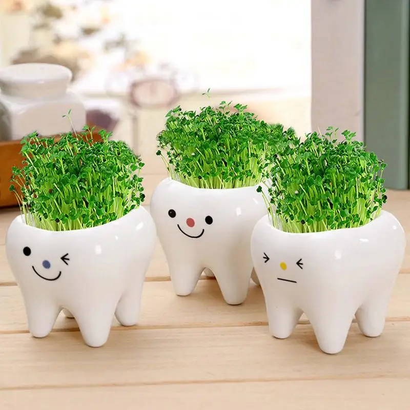 Tooth Shaped Planter Pots 3PCS Tooth Shape Succulent Pots Cactus Pot For Women Mom Or Birthdays Bonsai Planter Desk Decoration