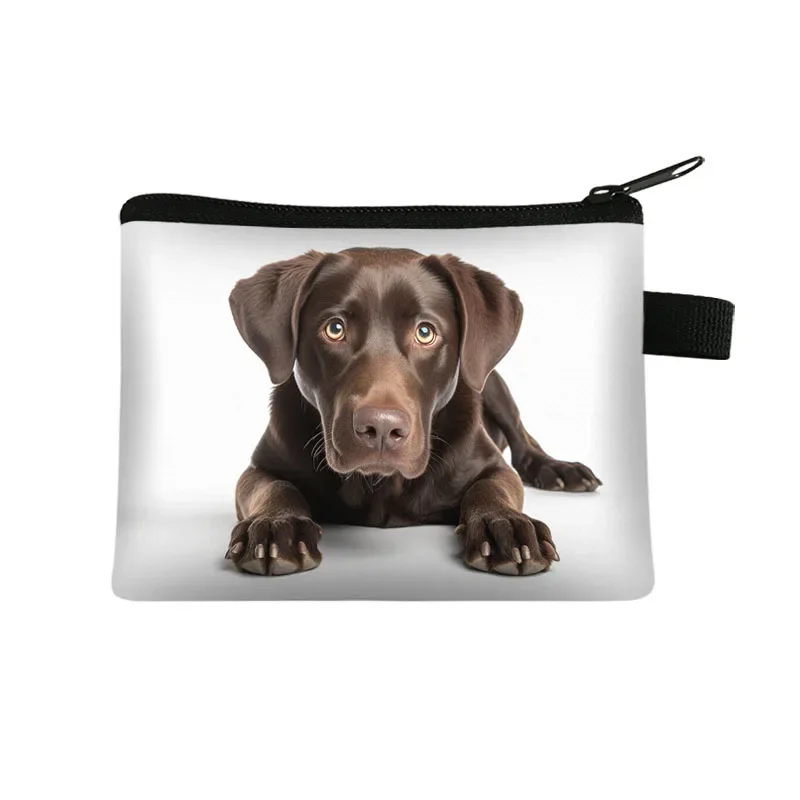 Cute Prone Dog Coin Purse Bulldog Beagle Chihuahua Schnauzer Head Painted Coin Bag Funny Lying Dogs Credit Card Money Bags Gift