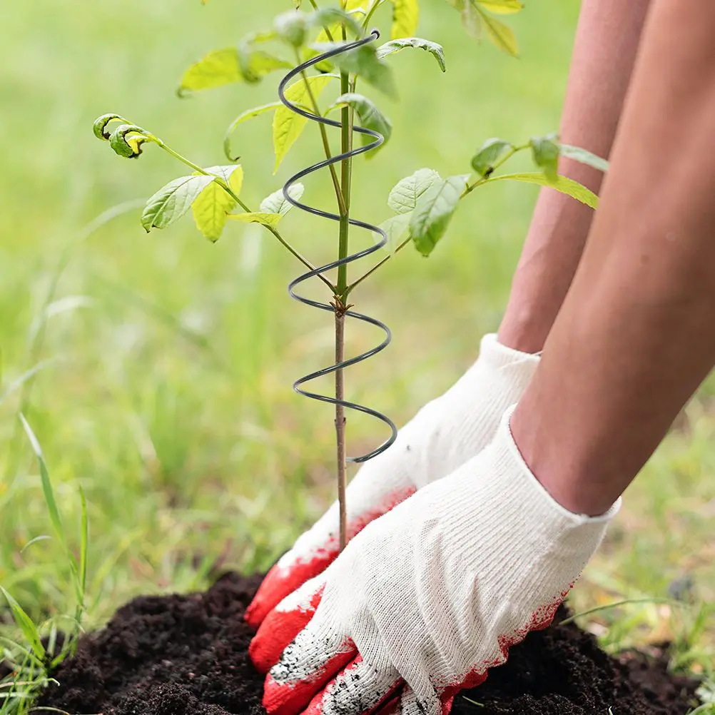 

Stakes Plant Climbing Support Frame Peony Flowers Climbing Trellis Garden Plant Iron Supports Soil Floral Arrangement Plant Care