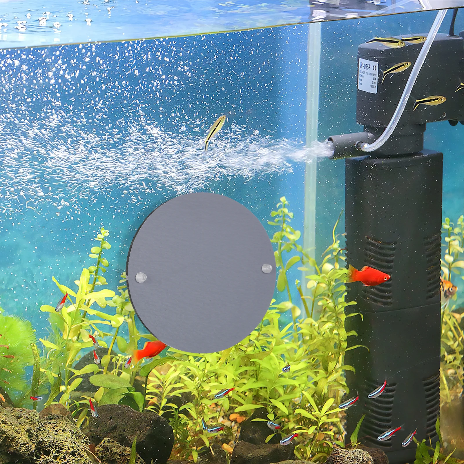 

Fish Tank Mirror Betta Mirrors Toys for Aquarium Suction Cup Supplies Acrylic Decorative Travel Mini