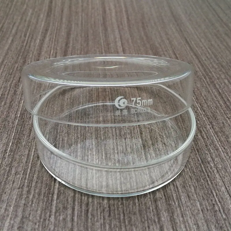 

6pcs Lab DIA 75mm Borosilicate Glass Petri Culture Dish Used for the culture of bacteria, cells and lactic acid bacteria