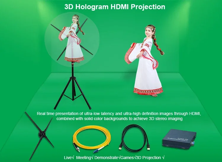 3D Led Floor Stand Video Wall Olograma HDMI Hologram Holographic Projector 3D Hologram Fan Big Size Display