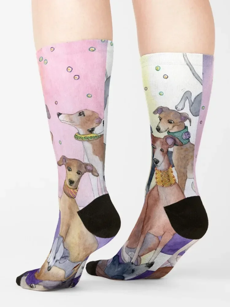 Who let the pups out at the new neckwear for whippets and greyhounds fashion parade? Socks cotton gift Woman Socks Men's