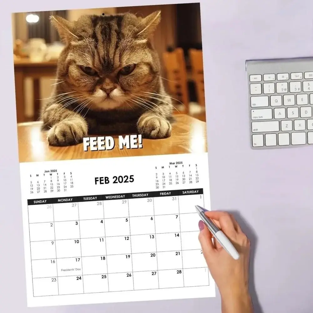 Funny Kawaii 2025 Pissed-Off Cats Calendar Cute Creative Can Be Celebrated Cat Lovers Wall Calendar Home