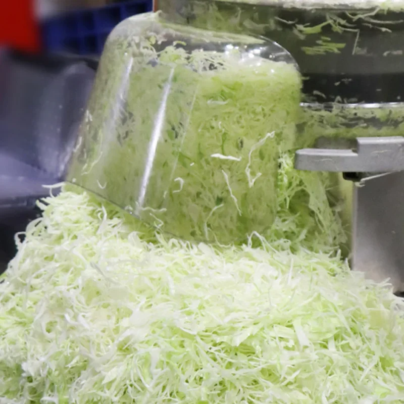 220V Countertop Cabbage Shredder, Vegetable Salad Maker, Sharp Blades, Large Cutting Head, Onion Slicer 80-100KG/H