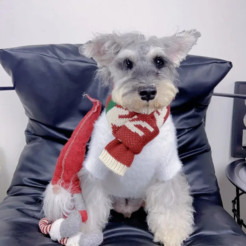 Dog Apparel Accessories Scarf Adult And Pet Christmas Scarves Decorations Autumn And Winter Pet Clothing Cat Color Blocking Knit