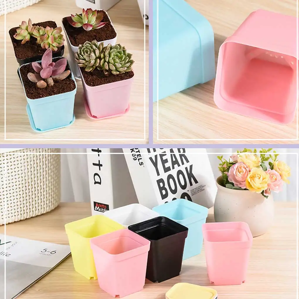 Portátil lavável Seedling Container, Flower Pot, Acessórios, 5 pcs