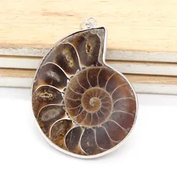 KFT Natural Stone Ammonite Seashell Snail Stone Pendant Ocean Conch Shell Animal Crystal Cabochon Pendant Women Men Jewelry Gift