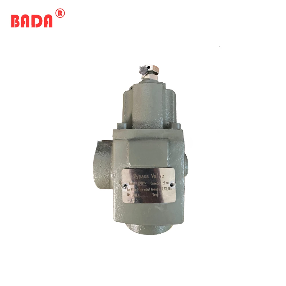 

LPG BYPASS VALVE fuel dispenser bypass valve