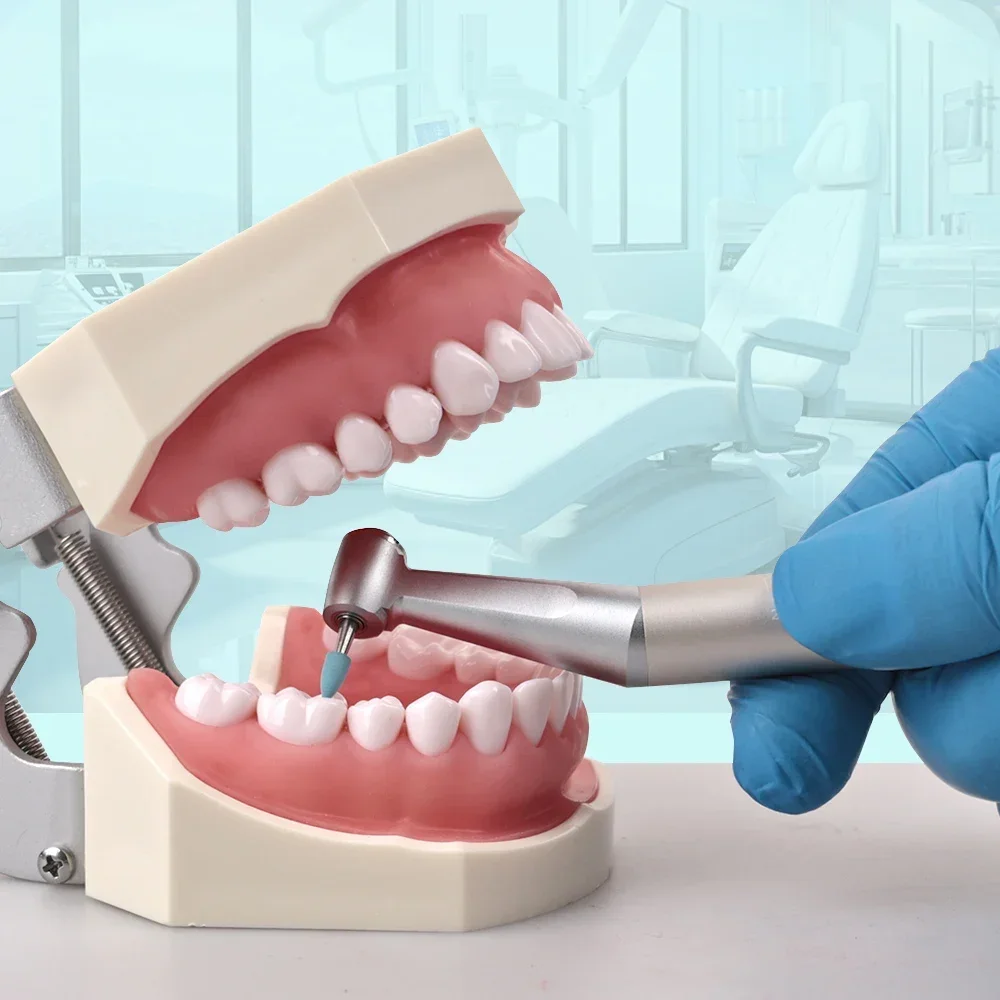 ELIJAH 12PCS/Box Dental Composite Polishing Teeth Polisher Kit 2.35mm RA Rubber Resin Polishing Wheel For Low Speed Handpiece