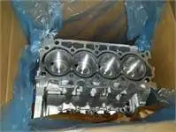 

Store code: CN1Q6011C1B for complete half engine (block + PISTON PISTON ring + main arm bed + PISTON ring) FIESTA 13 / B MAX 12 / T