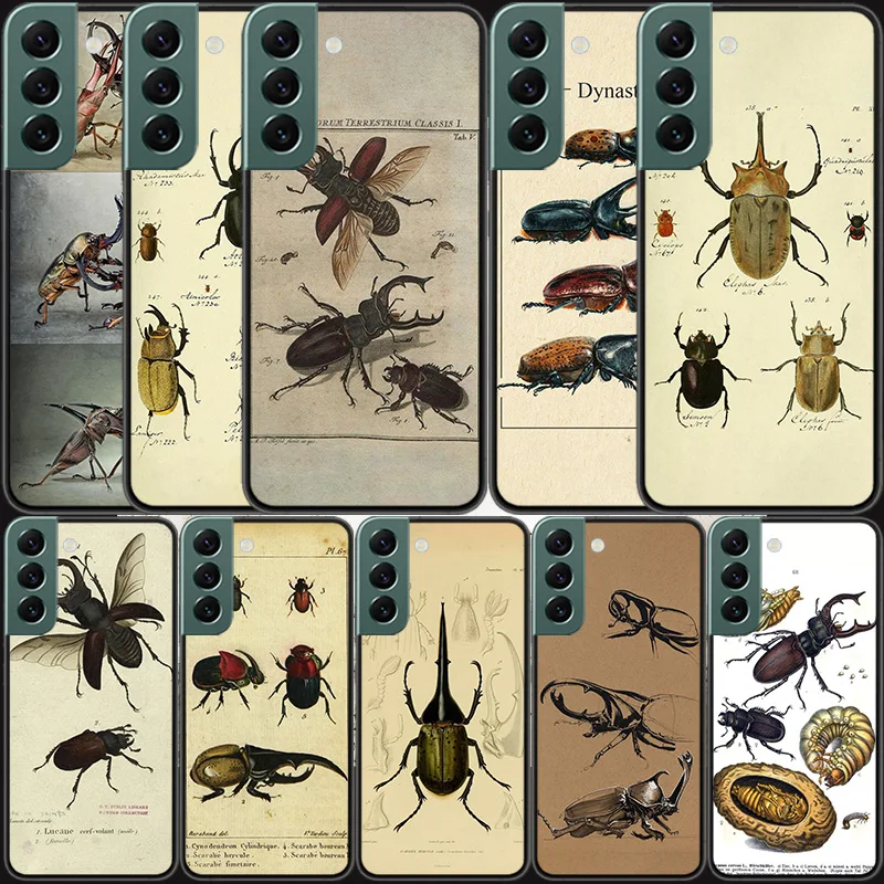 Bugs bees scientific decomposition Phone Case For Samsung Galaxy A12 A22 A32 A42 A52 A72 A54 A34 A24 A14 A73 A53 A33 A23 A13 5G