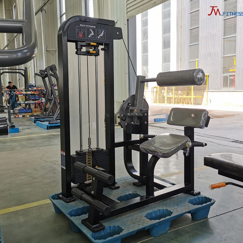 

Commercial Factory Direct Sales Back Muscle Training Machine Cardio Back Extension Gym Fitness Equipment