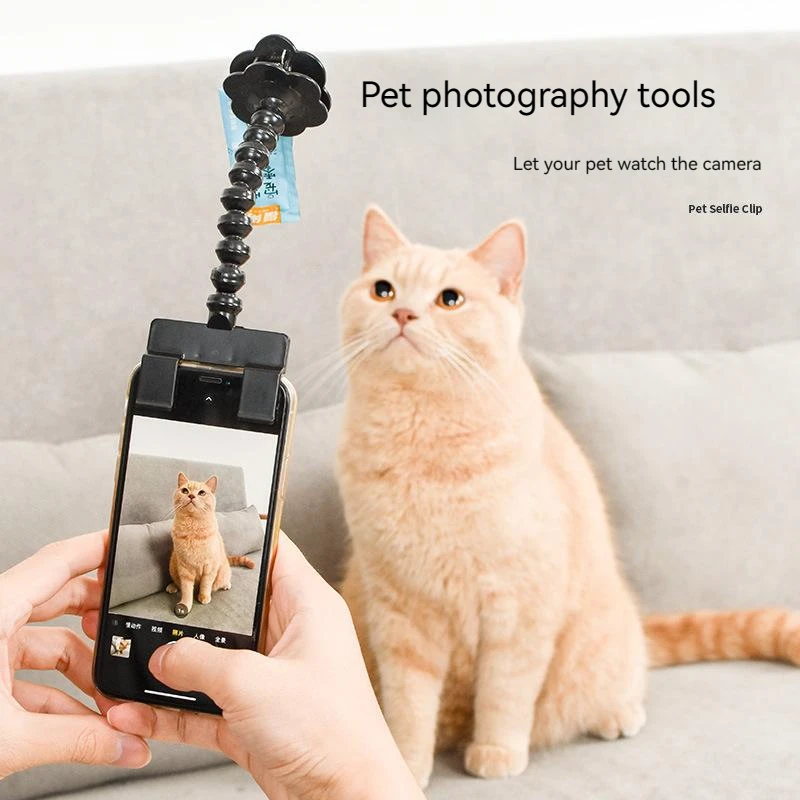 Pet Selfie Pooch Tool Smartphone Attachment Dog Selfie Stick Cellphone Treat Holder Training Perfect Photo Dogs Cats Captivate