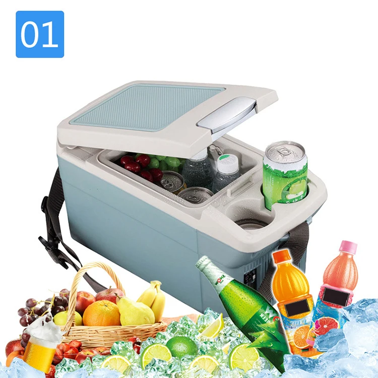 Single Door Small Refrigerator Travel Used 6L Cooler Box Cabinet Portable 12 V Car Mini Fridge