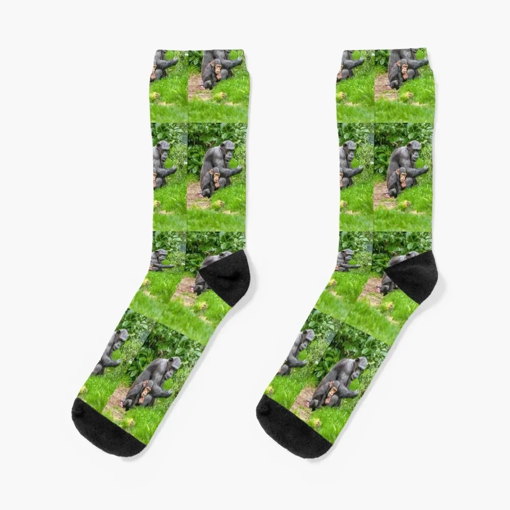 

Chimpanzee and her baby Socks winter New year's Ladies Socks Men's