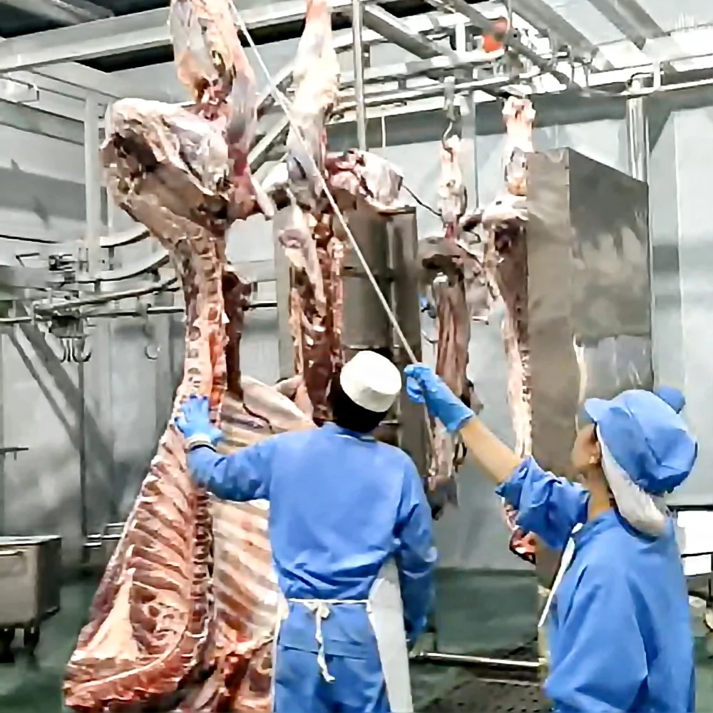 Cattle Cow Meat Slaughter House Processing Equipment