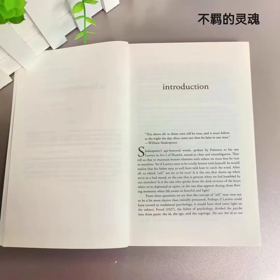 The Untethered Soul By Michael A. Singer The Journey Beyond Yourself Novel English Book