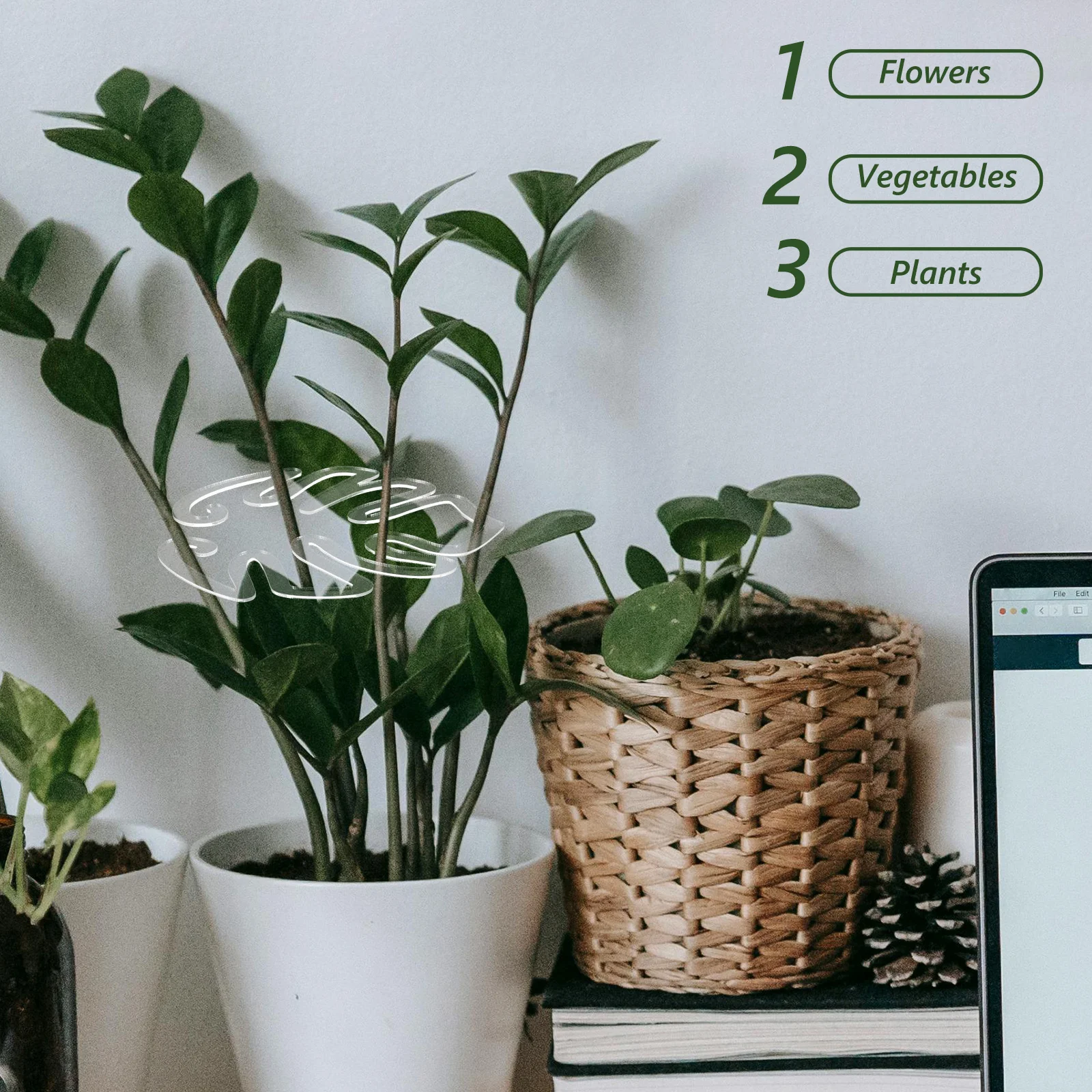 حامل دعم الزهور، مثبت جذع نبات الأكريليك لحديقة بونساي، نباتات داخلية، حامل جذع دعم النباتات Monstera #6