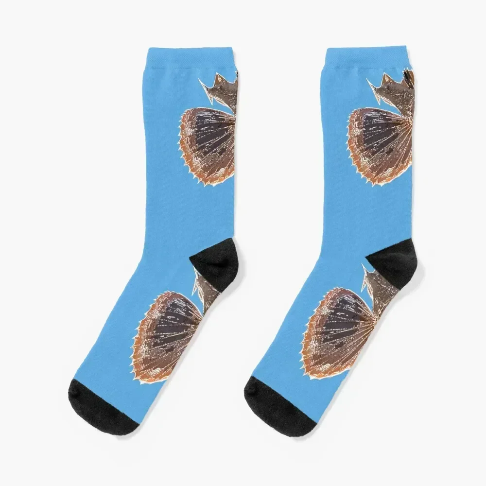 Striped Sea Robin Alternate Print Socks soccer anti-slip luxury cycling floral Socks Female Men's