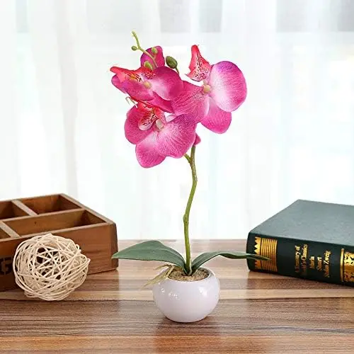 

Elegant Phalaenopsis Artificial Flowers in Glass Vase | Faux Orchid Plant Arrangement | Fake Flowers for Indoor Decorative Tranq
