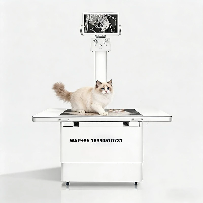 Veterinary diagnostic equipment, ground-mounted dynamic X-ray system, pet hospital C-arm CT scanner DX-VF1 CE 32KW metal materia