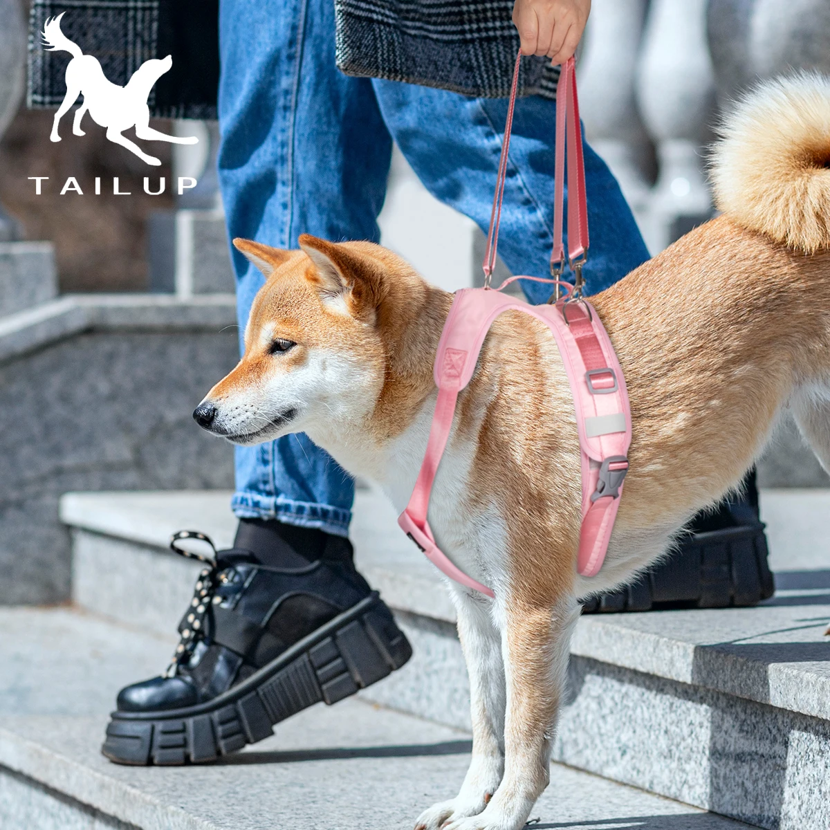 TAILUP Brand Pet Lift Support Harness Disabled Injurie Pet Auxiliary Belt Front Rear Legs Rehabilitation Training HarnessBelt