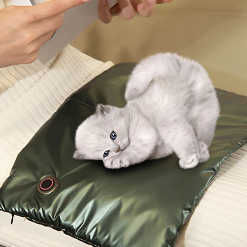 Pet Electric Blanket Constant Temperature Timing Heating Pad Winter Warm Bed Thermal Home Cat Dog Sleeping Supplies 41x26.5cm