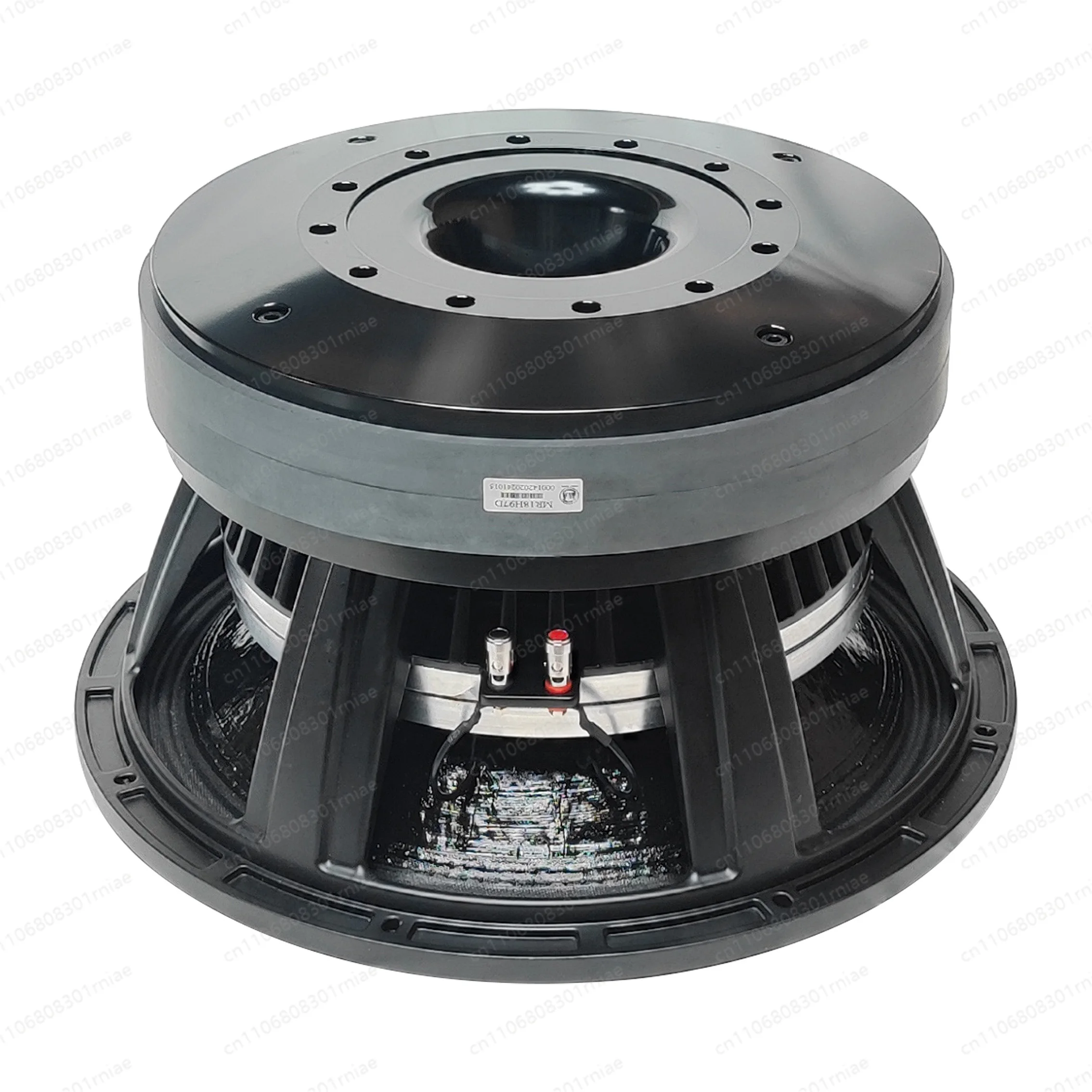 

18-Inch dual magnetic circuit system & 8-inch oversized voice coil | Peak power 6000W professional speaker