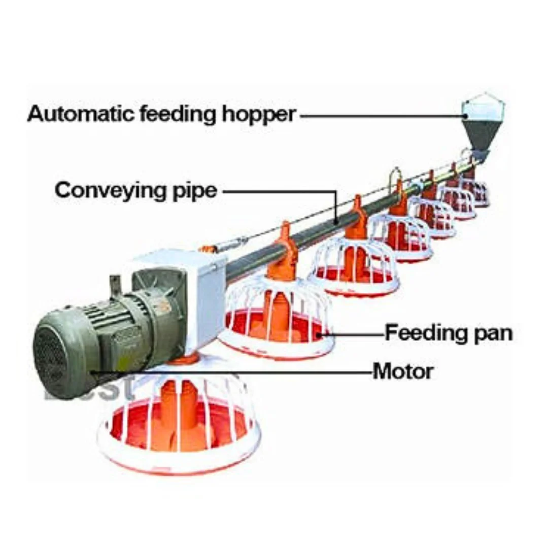 Farming Equipment Automatic Chicken Feeders and Drinkers Nipple Drinkers Feeding Line System for Chicken Coop/ Poultry