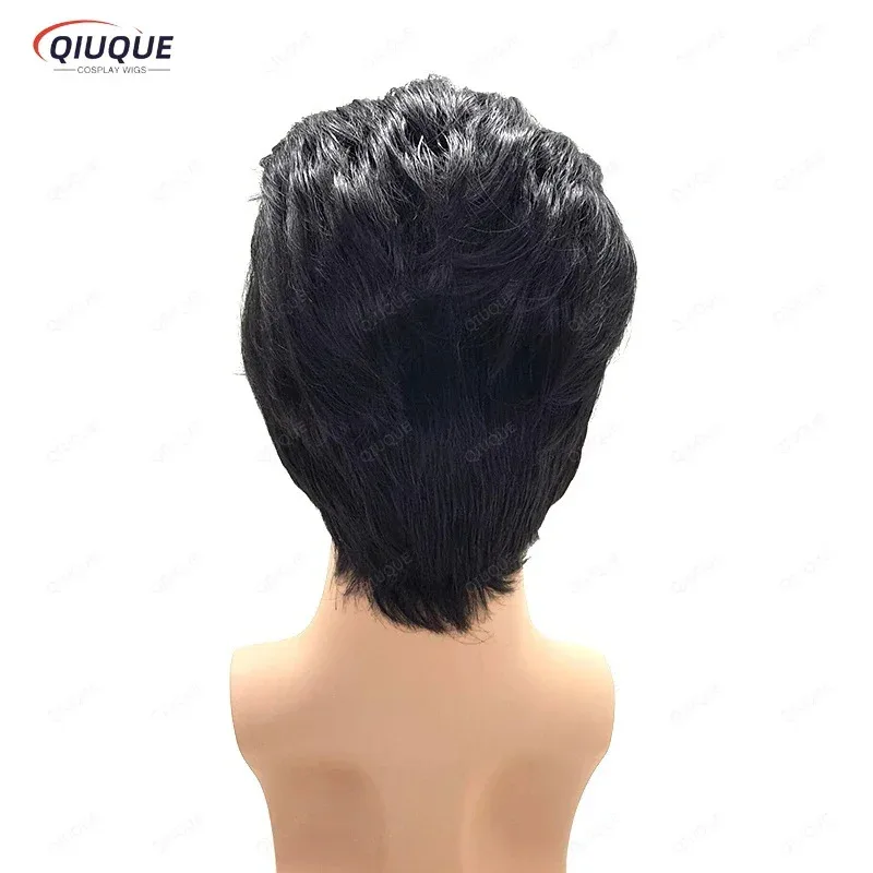 

Men's Rock singers Elvis Aron Presley Cosplay Wig Elvis Presley Black Heat Resistant Synthetic Hair Party wig XF56GGD345