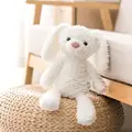 White Rabbit