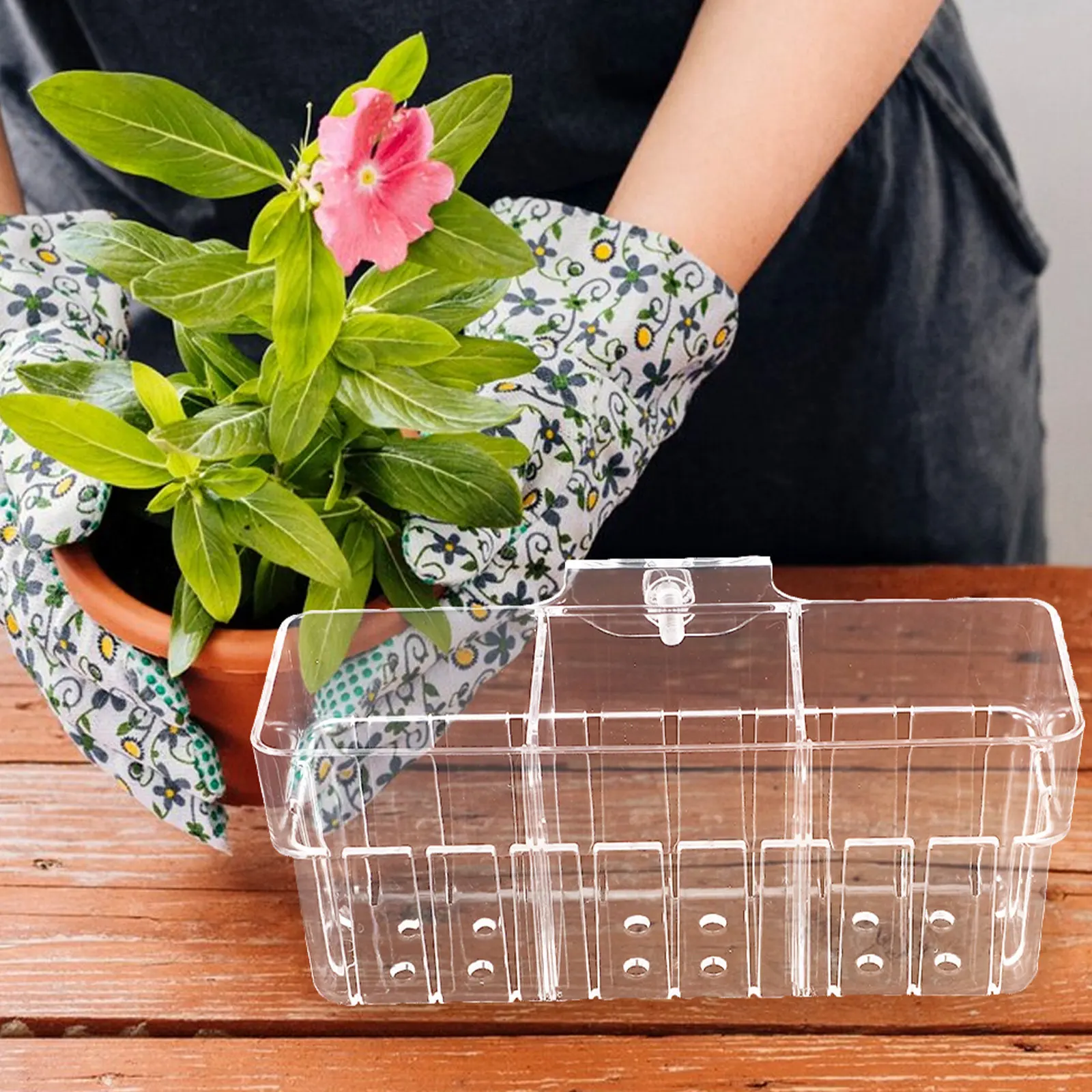 Clear Hydroponic Plant Basket 3 Compartment Wall Mounted Aquarium Plant Holder Fish Tank Aquatic Planter Cup