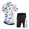 Dinosaur Set