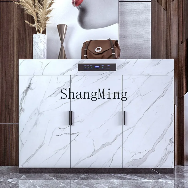 ZYY household intelligent disinfection and deodorization white large-capacity entrance cabinet